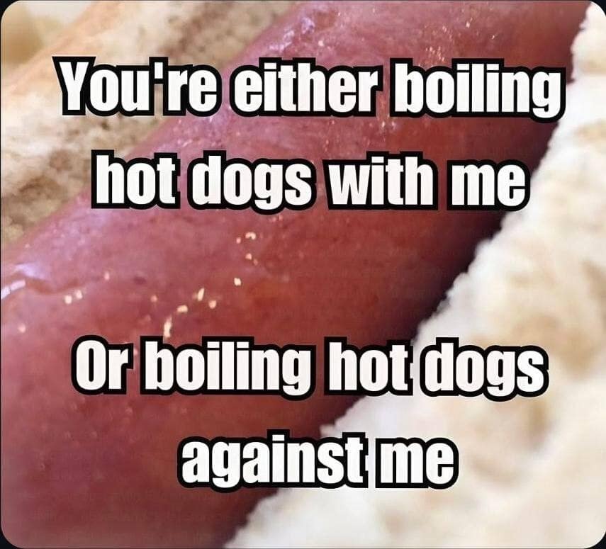 A classic text-over-image meme dump frame features an extreme close-up of a glistening, juicy hot dog nestled inside a soft white bun. Bold white text layers across the meat deliver an aggressively confrontational, cult-like ultimatum: "You're either boiling hot dogs with me Or boiling hot dogs against me."