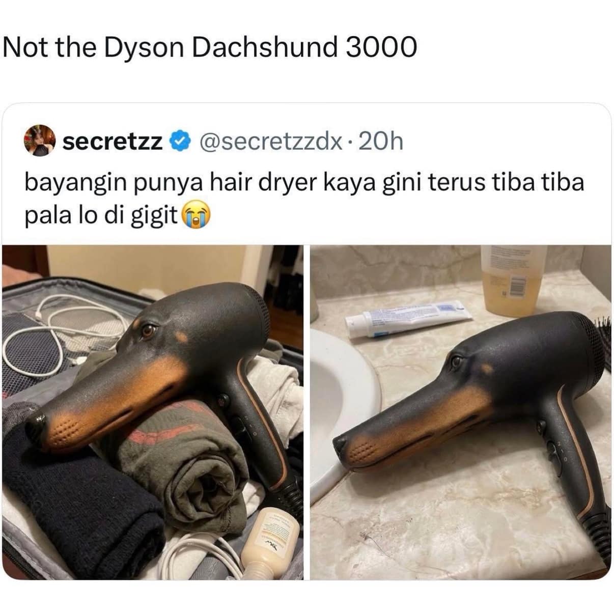 A bizarre entry in this meme dump features a hair dryer realistically sculpted to look like a black dachshund dog head.