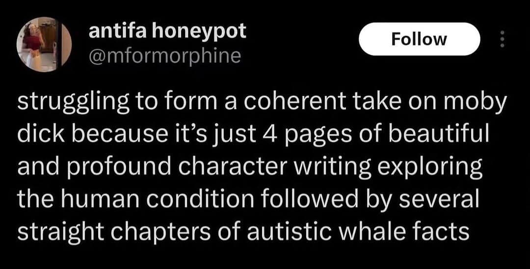 This bookish funny meme details a tweet breaking down the jarring, fact-dense narrative structure of the novel Moby Dick.