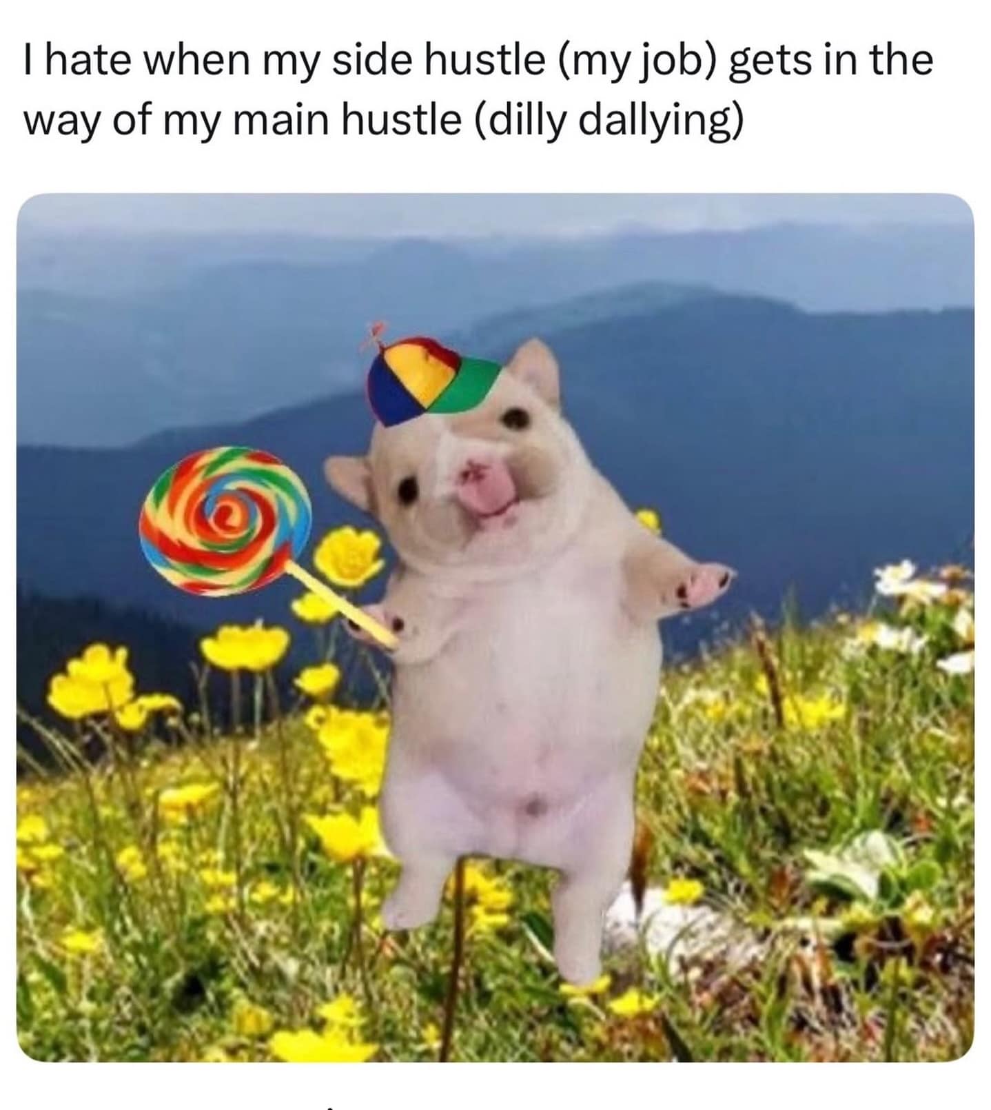 This whimsical photo within the meme dump features a small, fluffy hamster wearing a tiny propeller beanie and holding a colorful swirl lollipop, set against a wildflower background with text about side hustles getting in the way of "dilly dallying."