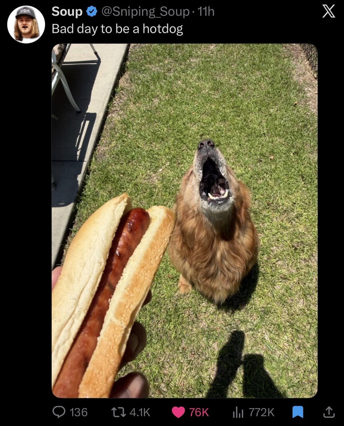 A dramatic funny meme captures a golden retriever howling at the sky right next to a freshly grilled hot dog.