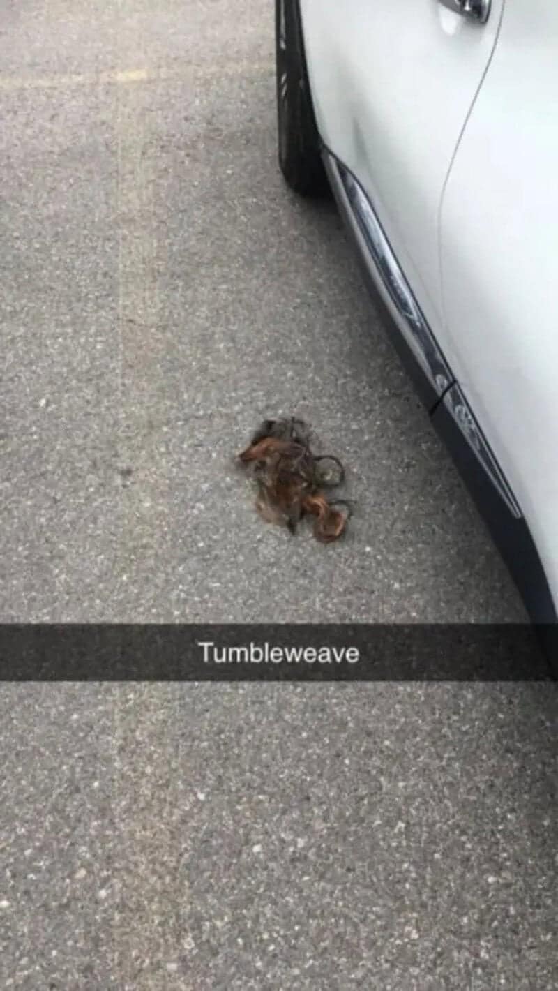 A funny snapshot in the meme dump captures a lost hair extension discarded on the asphalt parking lot floor with the clever pun title "Tumbleweave."