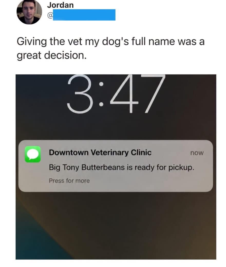 A hilarious pet text notification screenshot in this meme dump shows an automated text from a veterinary clinic stating that "Big Tony Butterbeans is ready for pickup."