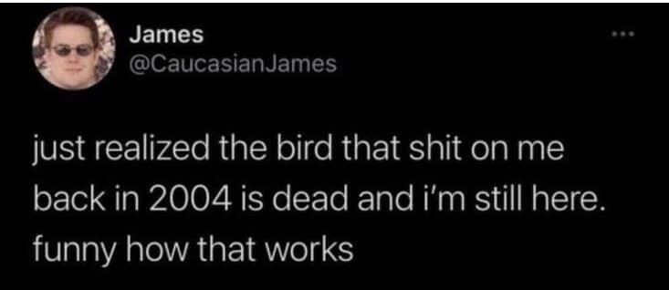 Closing out the collection, this meme dump image preserves a deadpan, philosophical text update from internet personality Caucasian James (@CaucasianJames). His existential observation reads: "just realized the bird that shit on me back in 2004 is dead and i'm still here. funny how that works," highlighting the ultimate long-game petty victory over nature.
