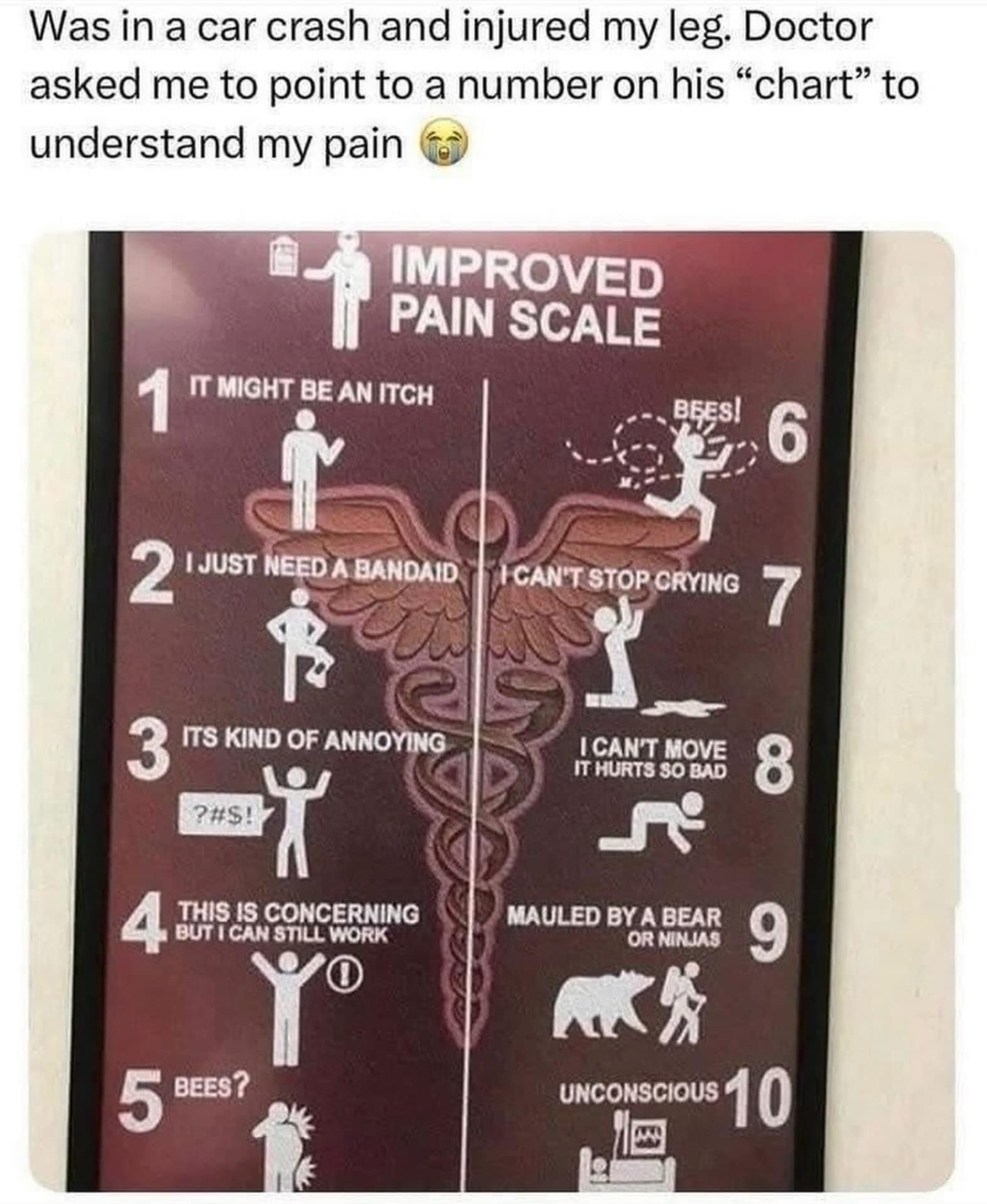 An amusing entry in this week's meme dump shows a medical poster titled Improved Pain Scale with hilarious choices like bees or ninjas.