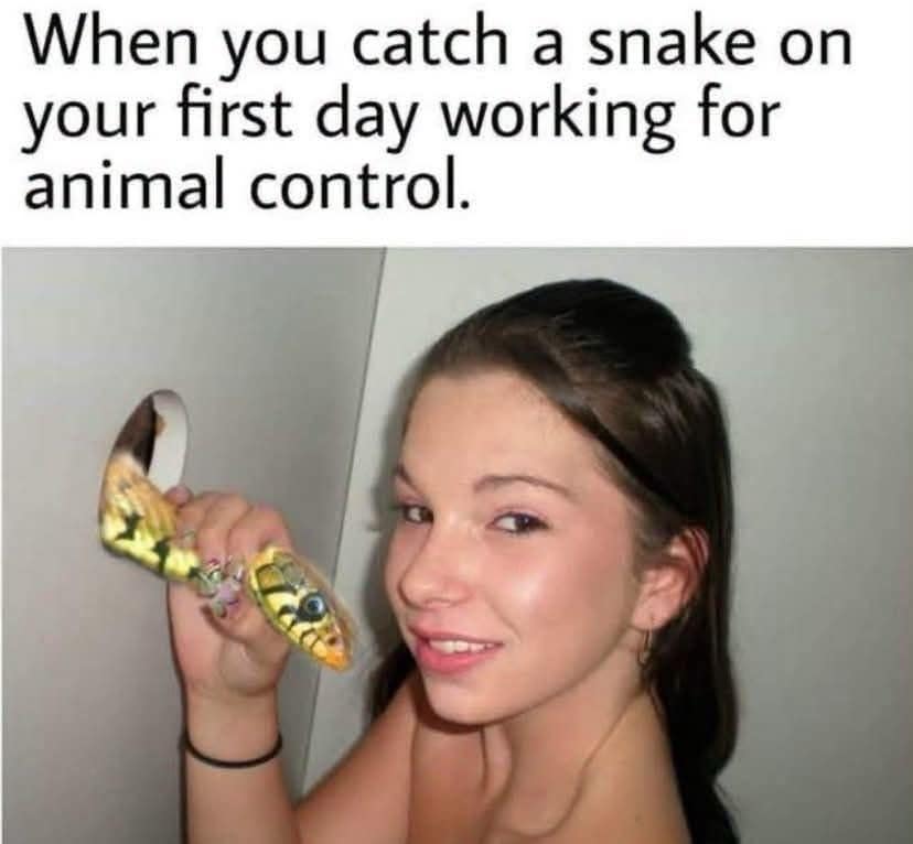 An entertaining picture from a social meme dump shows a smiling woman proudly holding up a snake-patterned high-heel shoe as if she just successfully captured a live reptile for animal control.