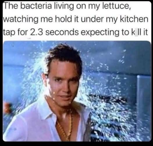 This funny meme dump visual targets kitchen hygiene illusions with a screenshot of an unbothered, slicked-back man looking completely refreshed under a heavy spray of water. The text layer overhead mocks common cooking habits, reading: "The bacteria living on my lettuce, watching me hold it under my kitchen tap for 2.3 seconds expecting to k ll it".