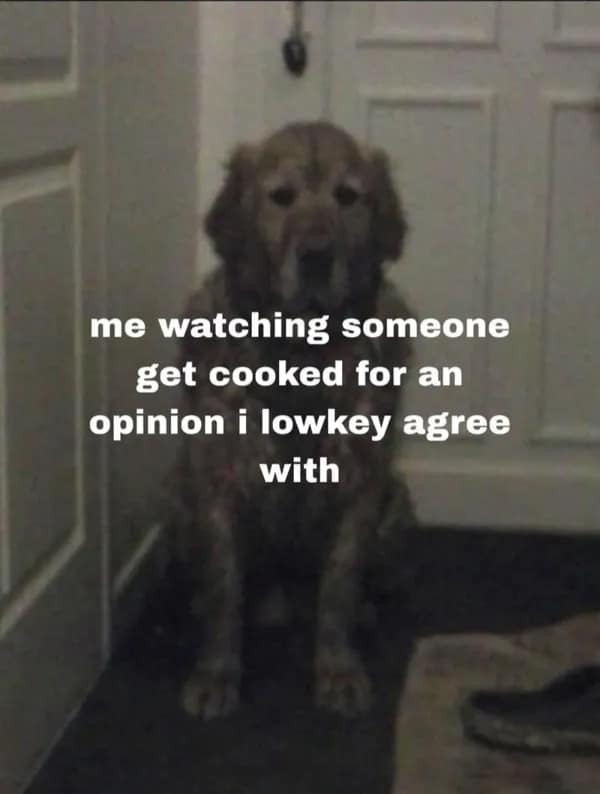 An observant funny meme captures a sad golden retriever sitting in a dark doorway, illustrating the quiet awkwardness of watching someone get flamed online for an opinion you lowkey agree with.