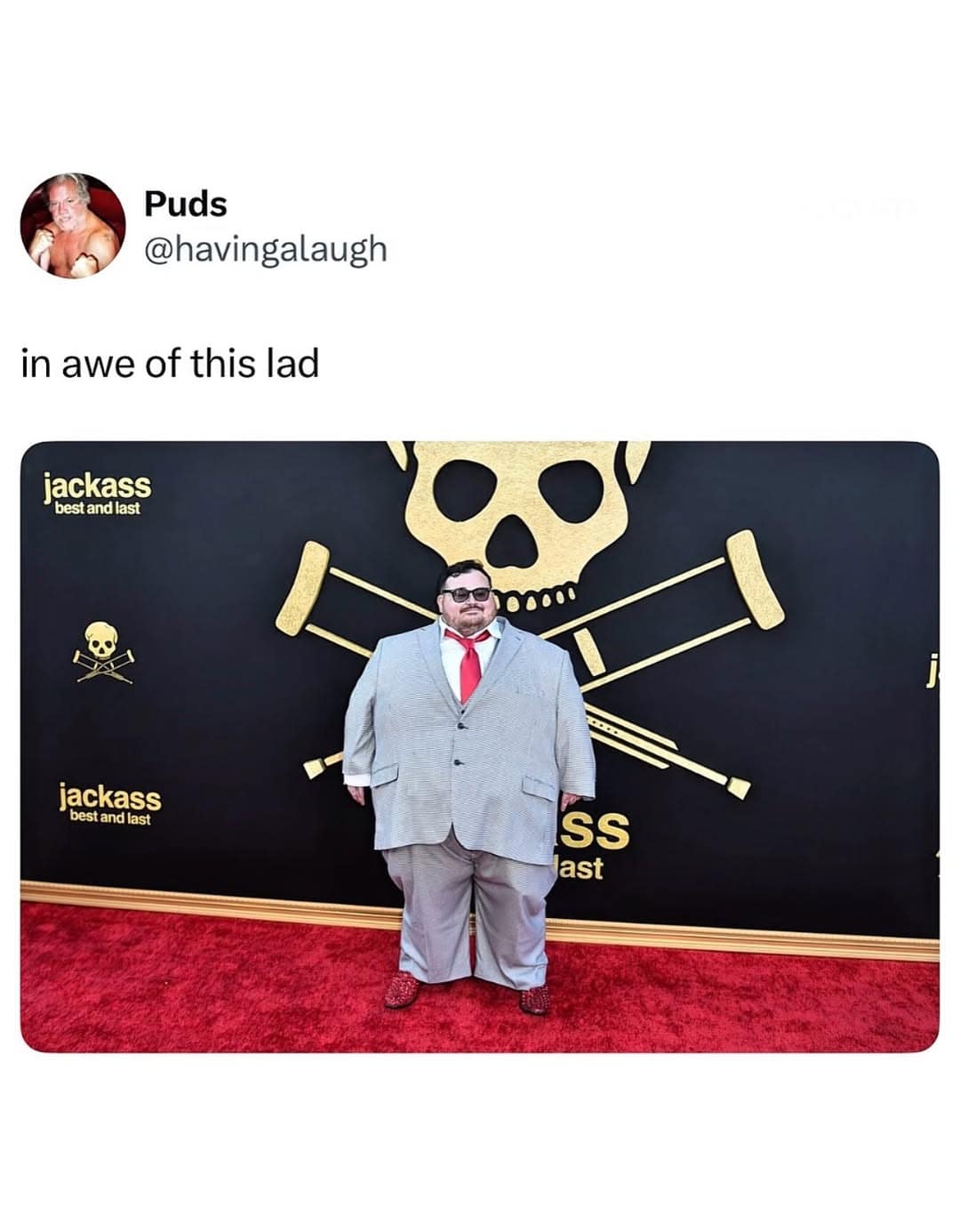 A popular meme dump photo features a wide, stout man in an oversized grey suit on the red carpet for a movie premiere.