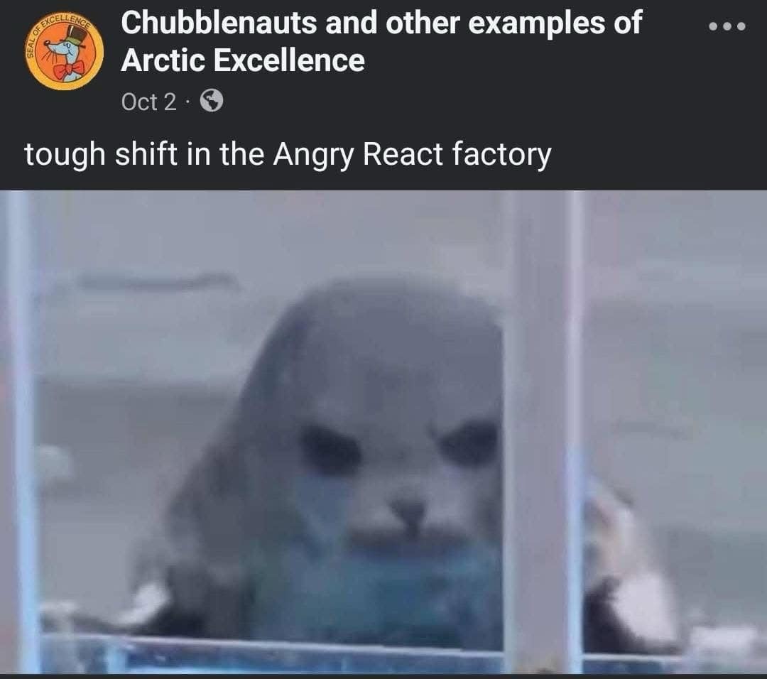 A funny workplace screenshot inside the meme dump showcases a round, intensely angry-looking seal glaring through an enclosure window, captioned as a tough shift at the angry react factory.