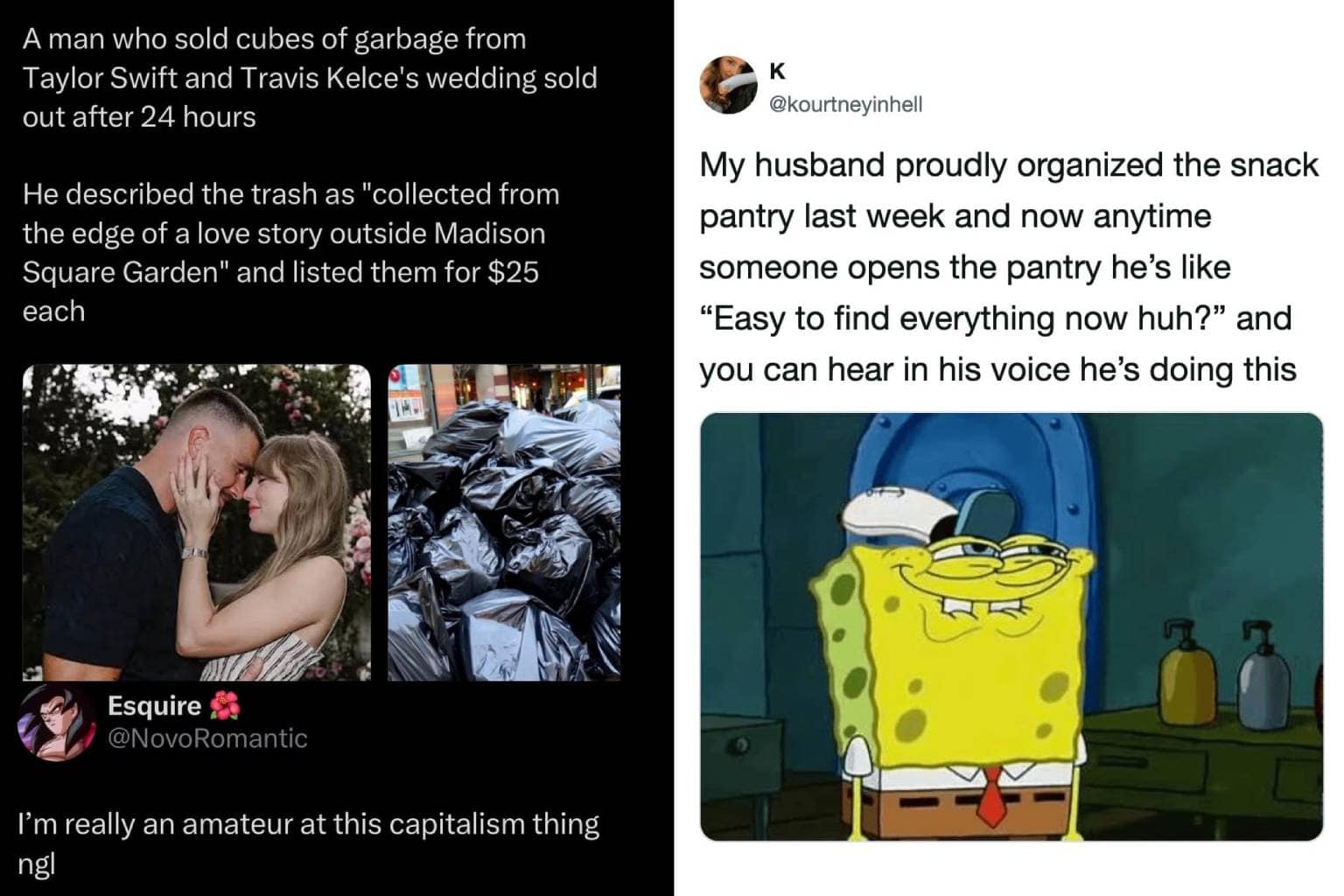 A multi-panel meme dump curation summarizing modern internet culture trends, highlighting a continental map of the Americas perfectly shaped like a giant duck, a smugly grinning SpongeBob celebrating a newly organized snack pantry, and Bilbo Baggins obsessively debating whether to hoard a tiny leftover furniture assembly hex wrench.