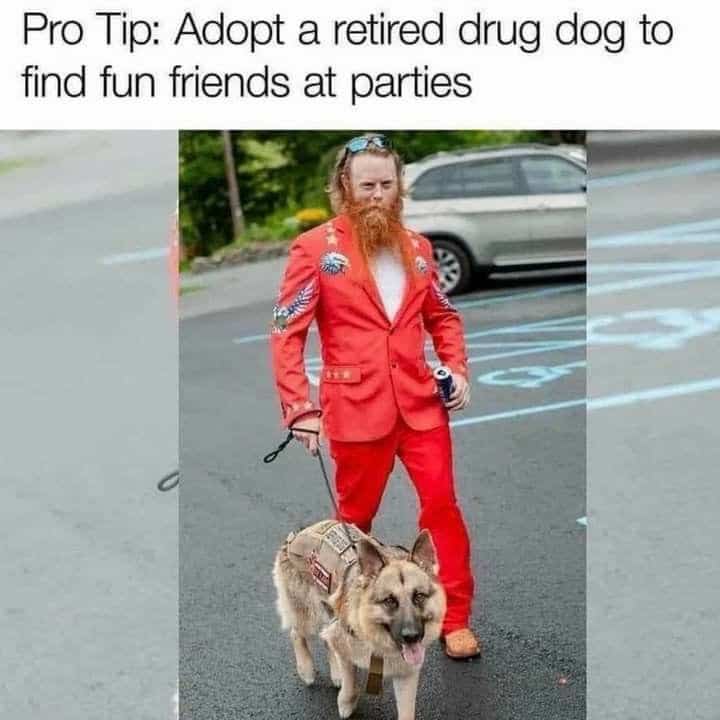 Funny pro tip meme suggesting adopting a retired drug dog to find fun friends at parties.