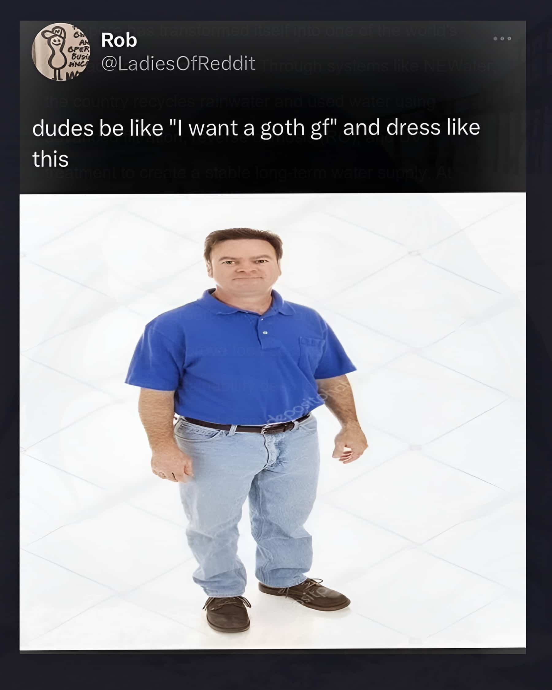 Funny relatable meme mocking men who want a goth girlfriend but dress in plain dad clothes.