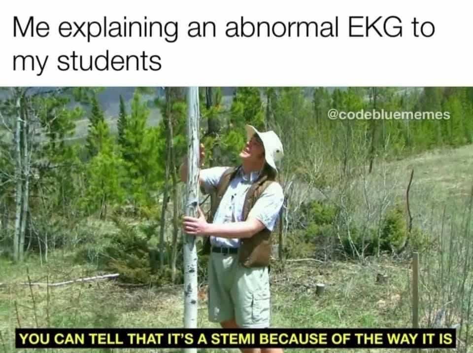 Funny medical student meme using nature walk video format to explain an abnormal STEMI EKG reading.