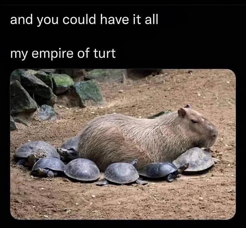 A capybara resting peacefully while surrounded by a circle of small turtles on the ground.