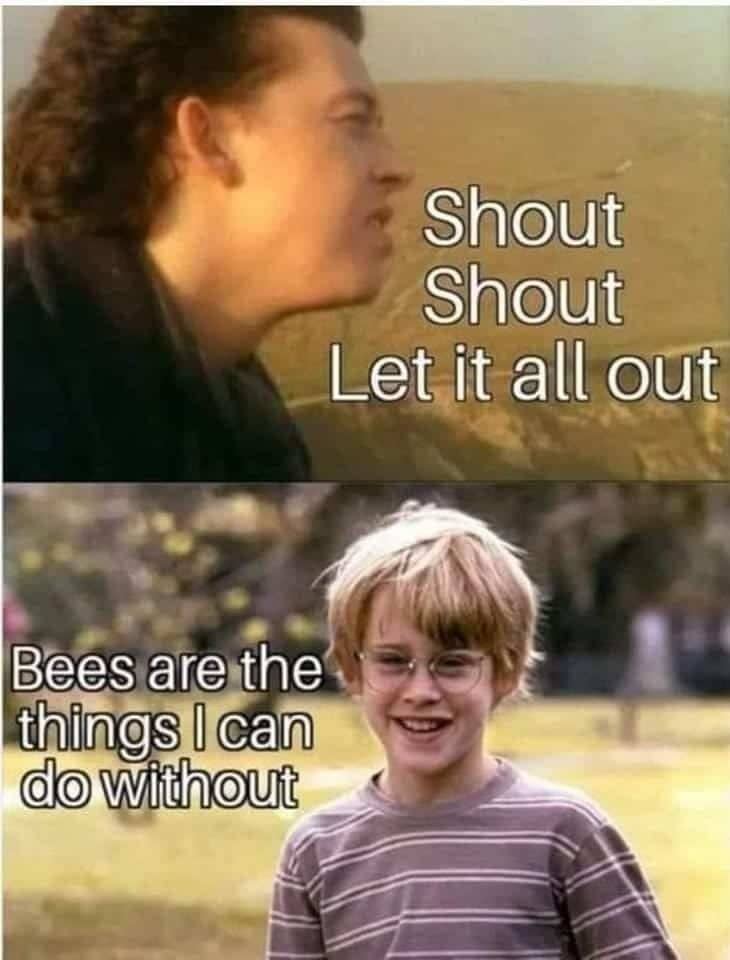 A two-panel meme linking Tears for Fears lyrics with a scene from the movie My Girl.