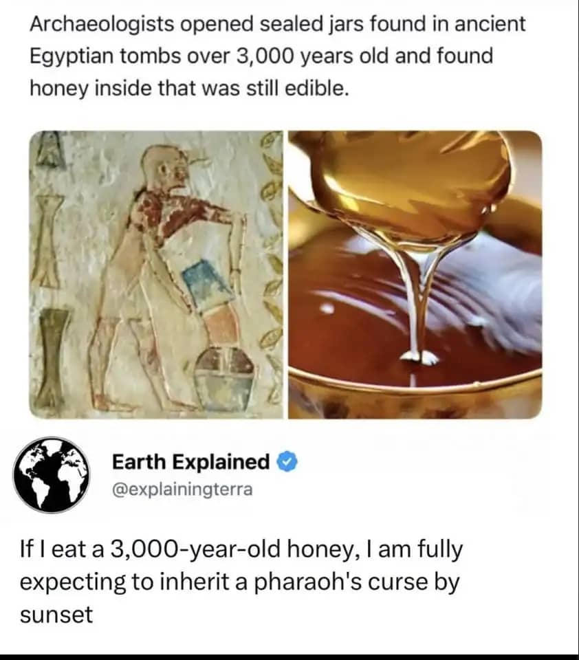 A meme combining an image of ancient Egyptian tomb art and dripping honey, with a comment about inheriting a pharaoh's curse.