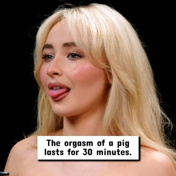 Blonde woman sticking tongue out with text box presenting biological trivia about pig orgasm durations.