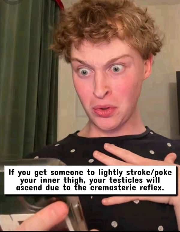 Person holding phone looking shocked at screen text explaining the cremasteric reflex in males.