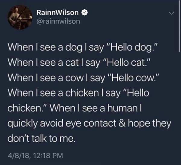 Tweet by Rainn Wilson about greeting animals warmly while completely avoiding human interaction.