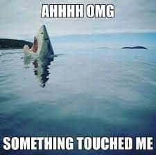 Shark breaching the ocean surface with its mouth wide open in a funny ocean meme.