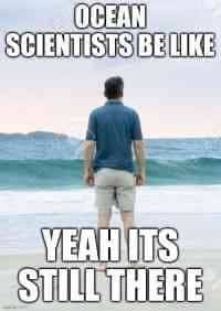 Ocean scientist standing on a beach looking at waves in a humorous ocean meme.