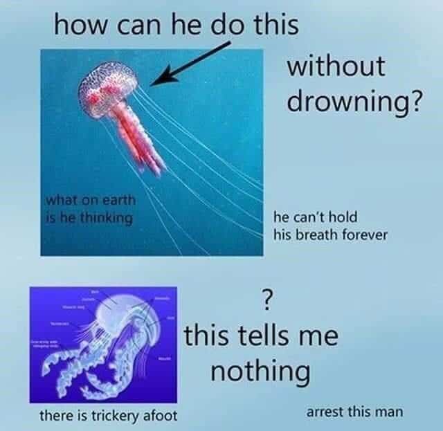 Jellyfish diagram and photo questioning underwater breathing mechanics in a surreal ocean meme layout.