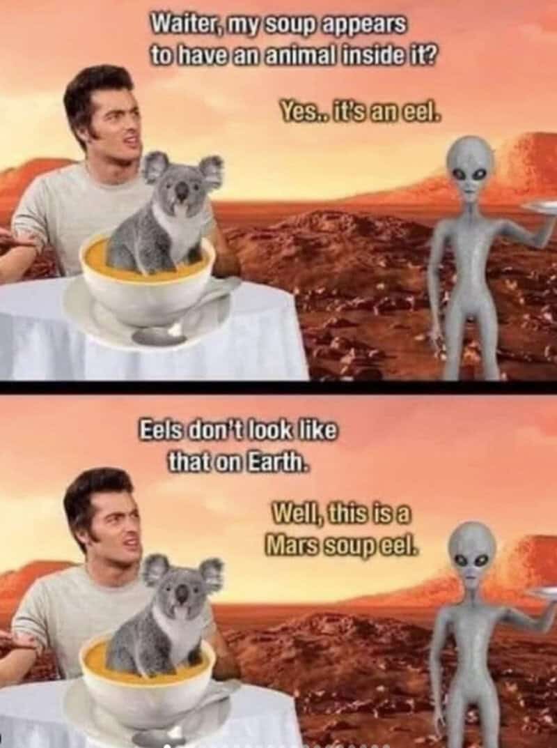 Alien waiter serving a cup of soup with a koala inside to a diner on Mars.