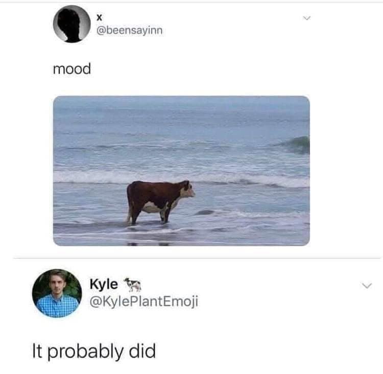 A clever punny meme captures a tweet showing a lonely cow standing in the ocean waves captioned "mood," met with a witty reply stating, "It probably did."