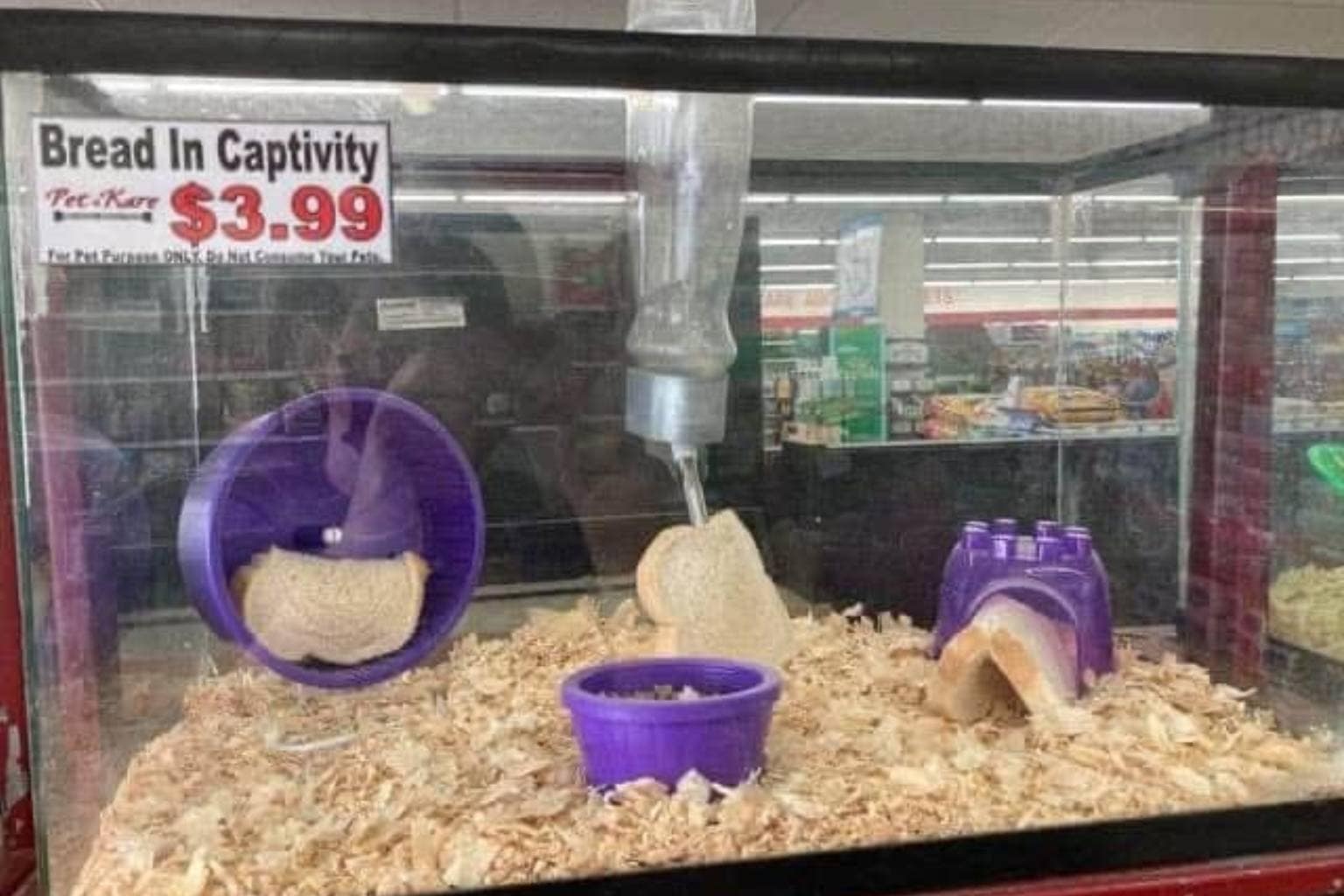 A comprehensive overview highlighting a viral punny memes repository that documents the heights of dad humor and literal interpretations, featuring a raw potato meticulously carved into a miniature living room couch, slices of white bread staged inside a hamster cage labeled "Bread in Captivity," and Rick Grimes crying while screaming an audio engineering soundcheck pun at Carl.