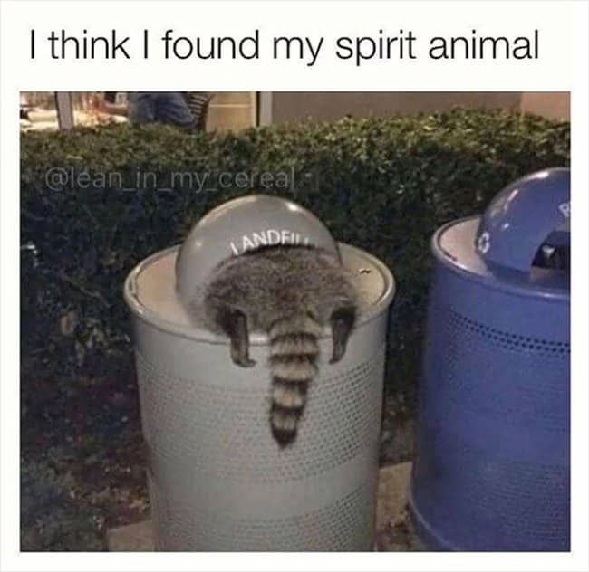 A raccoon diving headfirst into a grey trash can with its tail sticking out.