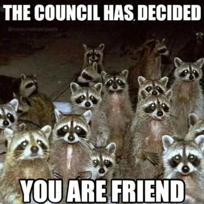 A large group of raccoons staring into a night camera with text declaring friendship.