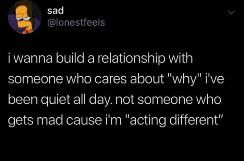 A poignant relationship meme detailing the deep craving for a partner who carefully investigates your silence rather than getting defensive about it.