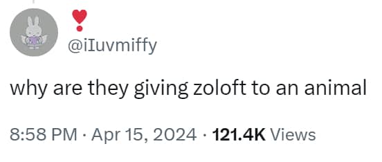 Confused Twitter user asking why veterinarians prescribe human psychiatric medication like Zoloft to animals.
