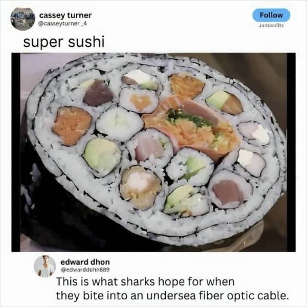 A massive sushi roll filled with multiple smaller sushi rolls and a witty comment.