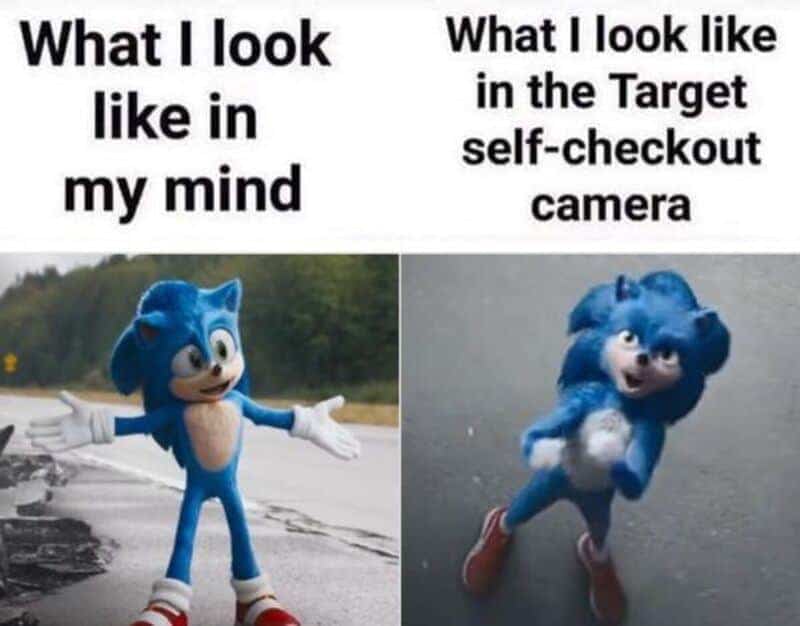 Sonic the Hedgehog meme comparing self-image to unflattering Target self-checkout security camera view.