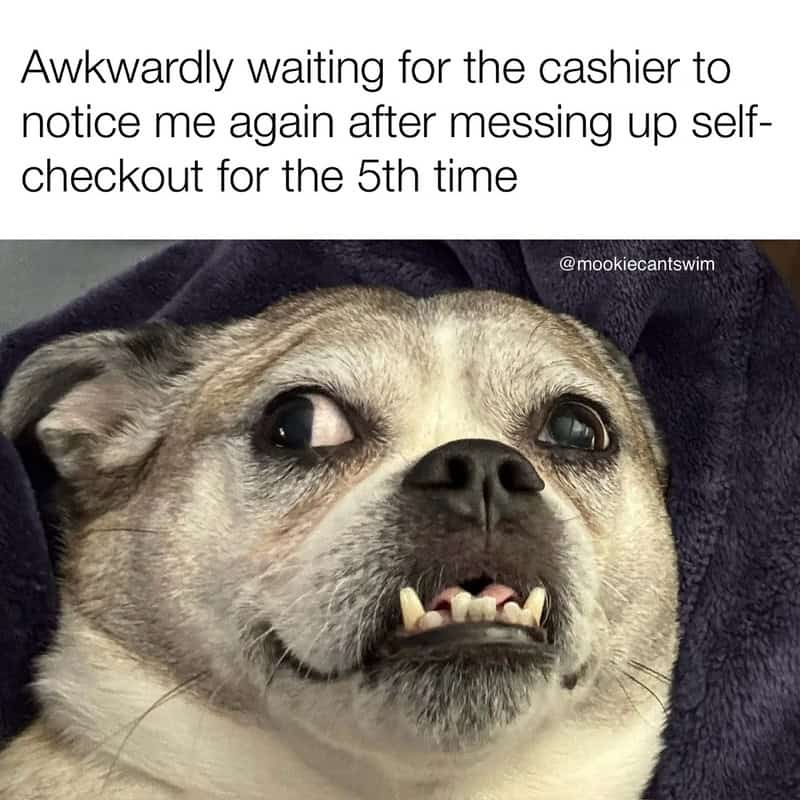 Awkward looking dog meme representing waiting for cashier assistance at self-checkout register.