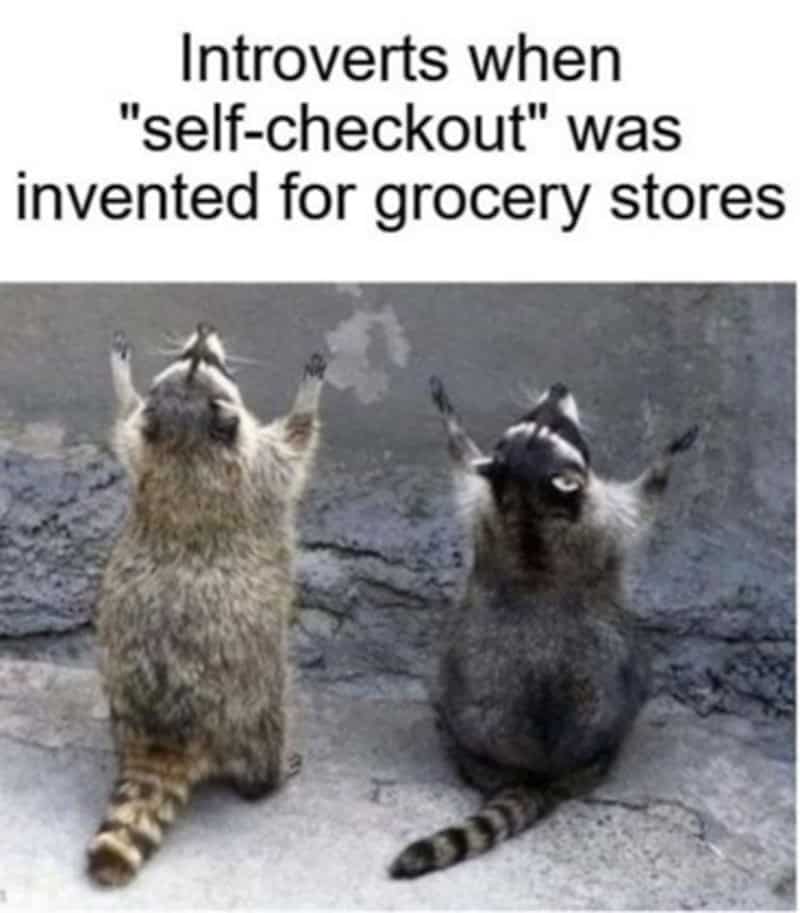 Raccoons praising the sky representing introverts celebrating the invention of grocery self-checkout.