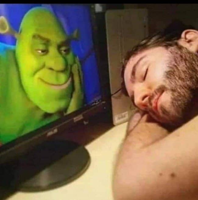 A man sleeping peacefully at his desk next to a monitor displaying a close-up of Shrek's face watching him.