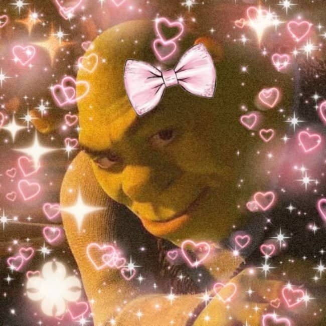 An edited close-up of Shrek with a pink bow surrounded by sparkly heart filters.