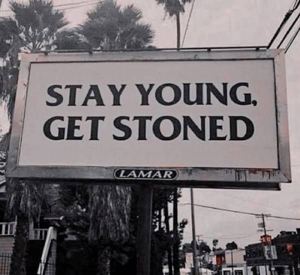 A roadside billboard with large bold text reading stay young get stoned.