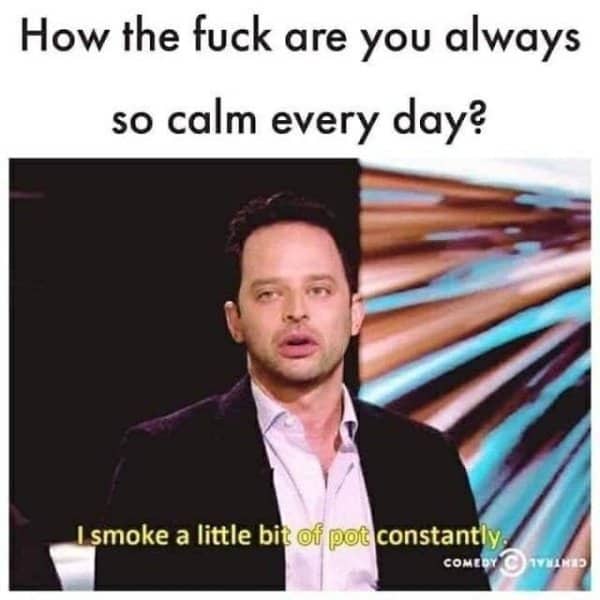 A meme of Nick Kroll stating he smokes a little bit of pot constantly to stay calm.