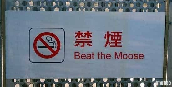 No smoking sign with a hilarious translation fail in English reading "Beat the Moose."