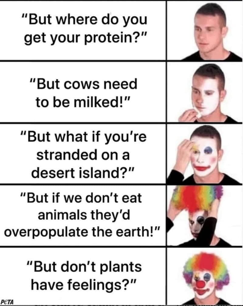 Clown putting on makeup meme highlighting illogical anti-vegan arguments often found in vegetarian memes.