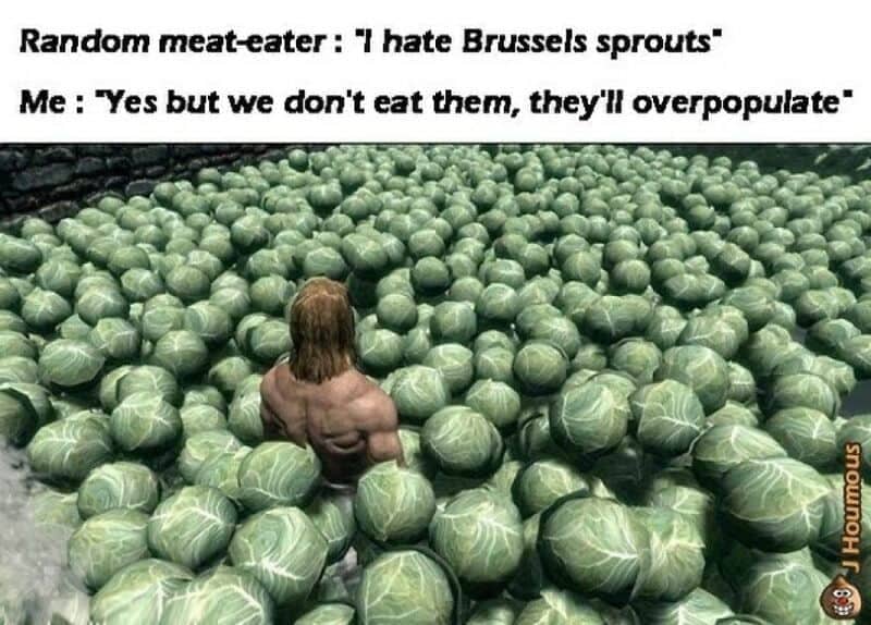 A video game character surrounded by giant cabbages representing overpopulating Brussels sprouts in vegetarian memes.