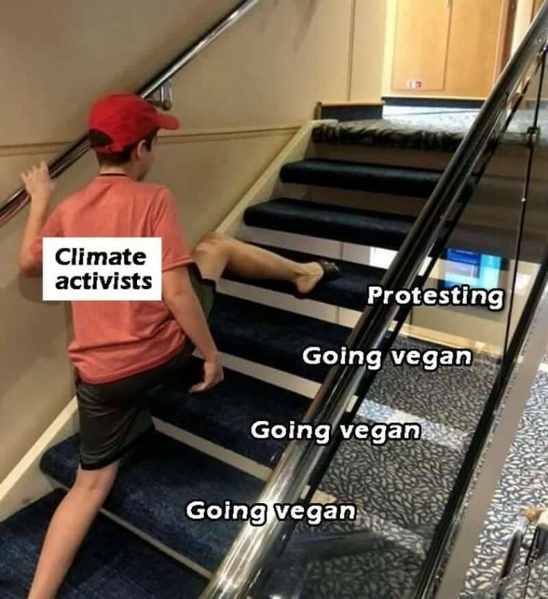 Climate activist skipping stairs to protest instead of going vegan in funny vegetarian memes.