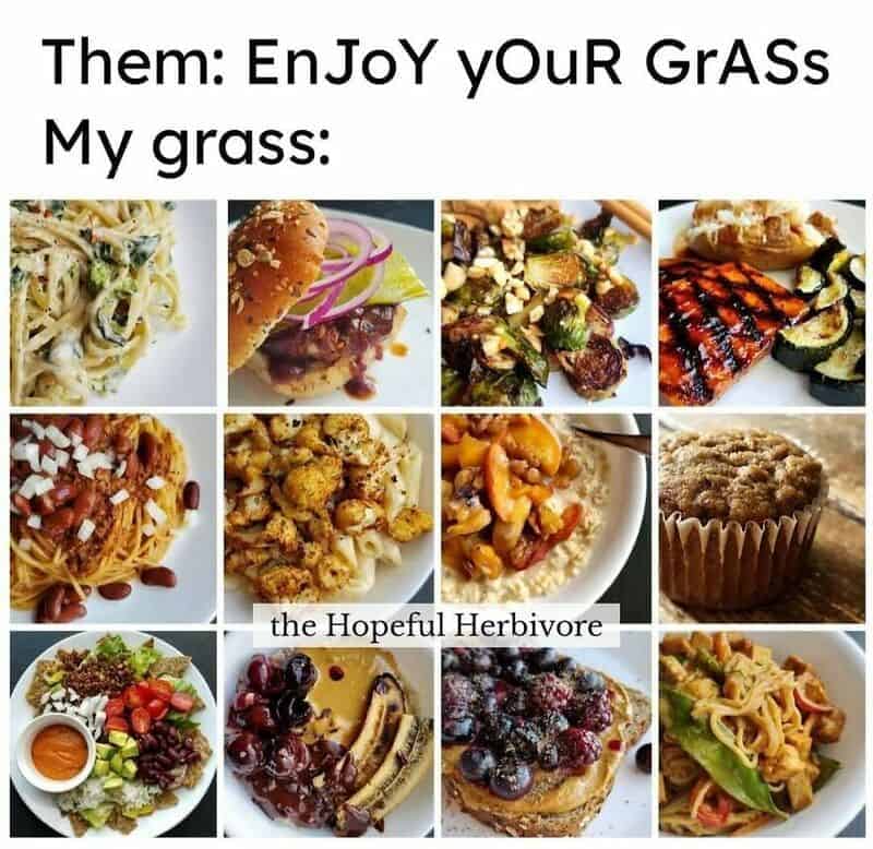 Grid of delicious vegan meals debunking the grass-eating stereotype in relatable vegetarian memes