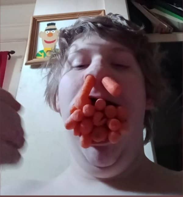 Person with mouth stuffed full of baby carrots and two carrots in their nostrils.