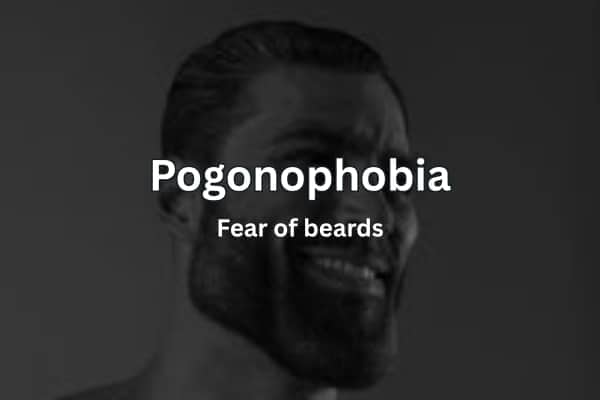 Text overlay defining Pogonophobia as the fear of beards over a dark meme background.