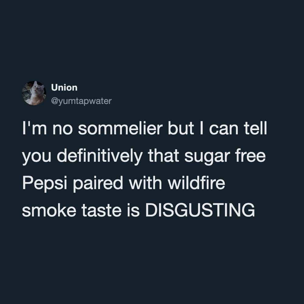 Humorous tweet reviewing a terrible taste pairing of sugar free Pepsi and wildfire smoke.